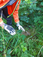 Kitzretter JV NT Nürtingen - Gerettetes Kitz in der Kiste.